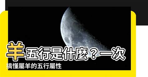 屬羊的五行|【屬羊五行】屬羊五行是什麼？屬羊五行缺什麼？一次解惑！